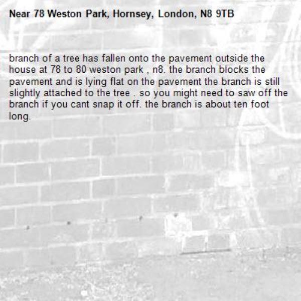 branch of a tree has fallen onto the pavement outside the house at 78 to 80 weston park , n8. the branch blocks the pavement and is lying flat on the pavement the branch is still slightly attached to the tree . so you might need to saw off the branch if you cant snap it off. the branch is about ten foot long.-78 Weston Park, Hornsey, London, N8 9TB
