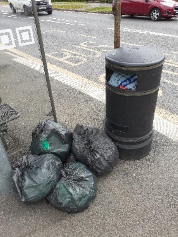 bags of garden waste flytipped bin is full of household waste no evidence taken -152 Southcote Lane, Reading, RG30 3EN