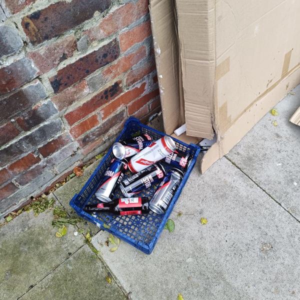Lots of cardboard which has address of 10 Wingfield Road on it. Lots of beers cans/bottles. Items in alleyway near 51 Gilbert Street.-51 Gilbert Street, Stratford, London, E15 2AG