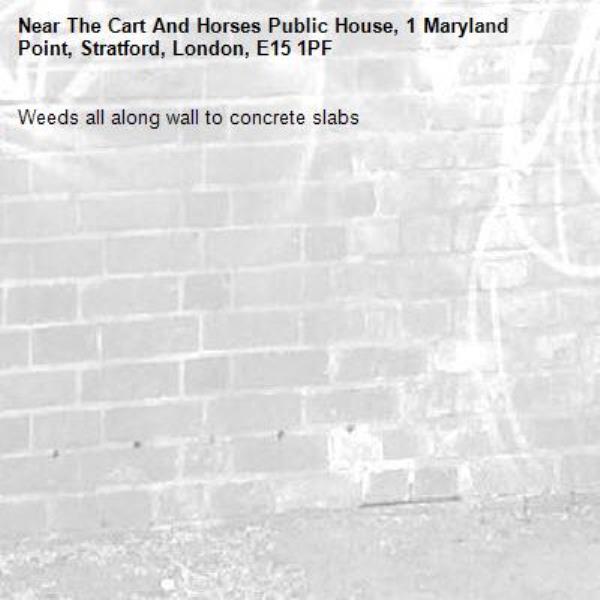Weeds all along wall to concrete slabs -The Cart And Horses Public House, 1 Maryland Point, Stratford, London, E15 1PF