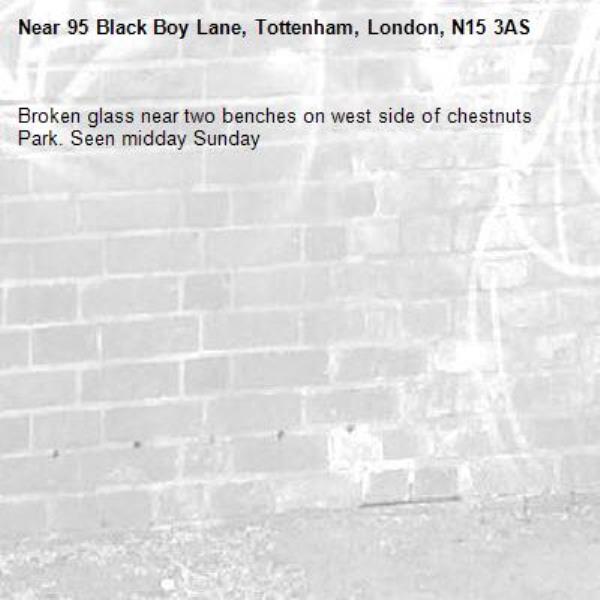 Broken glass near two benches on west side of chestnuts Park. Seen midday Sunday-95 Black Boy Lane, Tottenham, London, N15 3AS