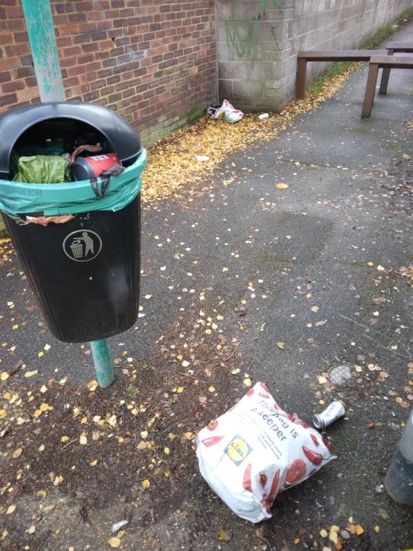 Flytipped household waste bags in and around bin.  Taken away job done. -84 Greenfields Road, RG2 8SG, England, United Kingdom