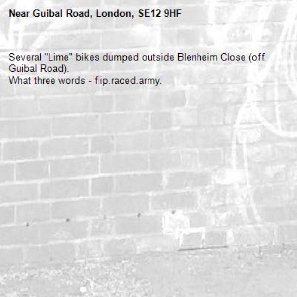 Several "Lime" bikes dumped outside Blenheim Close (off Guibal Road).
What three words - flip.raced.army.-Guibal Road, London, SE12 9HF