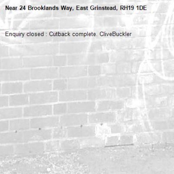 Enquiry closed : Cutback complete. CliveBuckler-24 Brooklands Way, East Grinstead, RH19 1DE