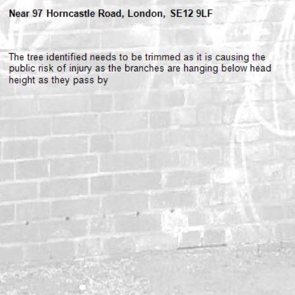 The tree identified needs to be trimmed as it is causing the public risk of injury as the branches are hanging below head height as they pass by-97 Horncastle Road, London, SE12 9LF