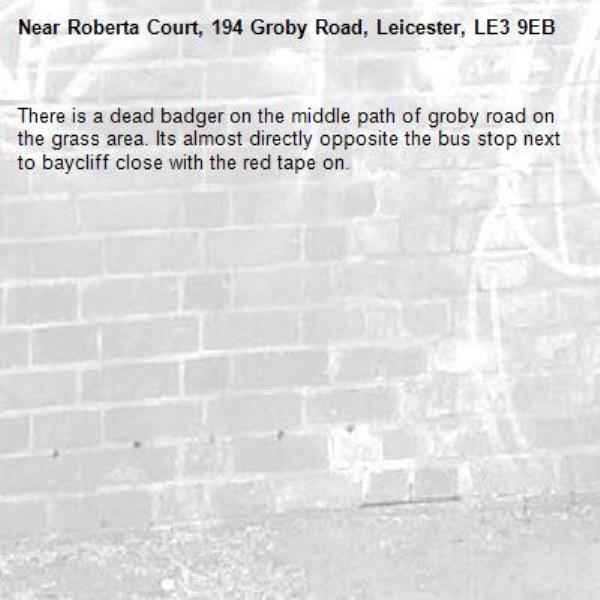 There is a dead badger on the middle path of groby road on the grass area. Its almost directly opposite the bus stop next to baycliff close with the red tape on. -Roberta Court, 194 Groby Road, Leicester, LE3 9EB