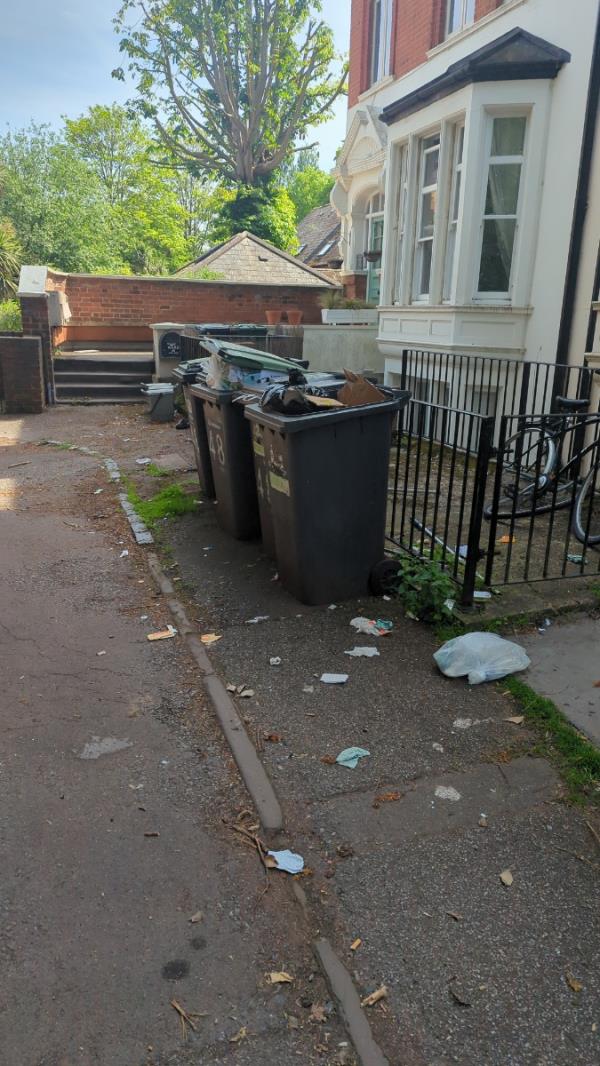 Bins without lids allow squirrels and foxes to throw rubbish all along the floor in front of properties.-First Floor Flat, 44 Adelaide Avenue, Ladywell, London, SE4 1YR
