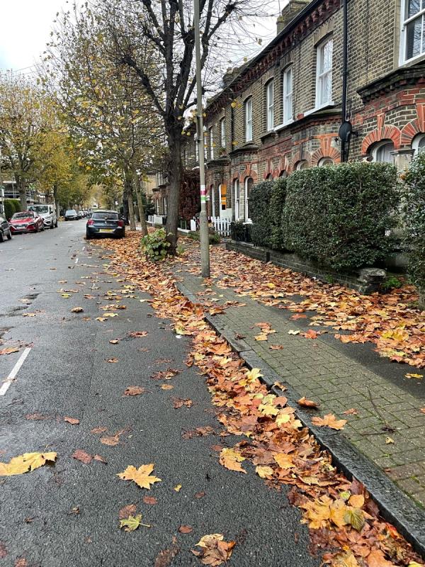 Second week Grayshott road has not been swept. It’s very dangerous now with wet leaves-102 Grayshott Road, Battersea, SW11 5UF, England, United Kingdom