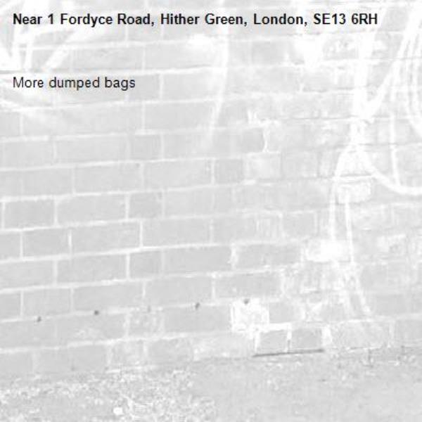 More dumped bags-1 Fordyce Road, Hither Green, London, SE13 6RH