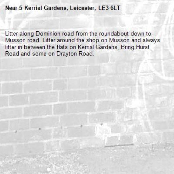 Litter along Dominion road from the roundabout down to Musson road. Litter around the shop on Musson and always litter in between the flats on Kerrial Gardens, Bring Hurst Road and some on Drayton Road.-5 Kerrial Gardens, Leicester, LE3 6LT