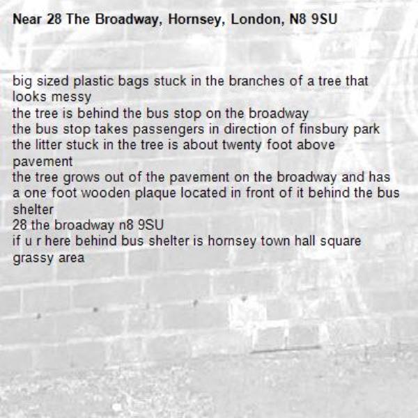 big sized plastic bags stuck in the branches of a tree that looks messy
the tree is behind the bus stop on the broadway
the bus stop takes passengers in direction of finsbury park
the litter stuck in the tree is about twenty foot above pavement
the tree grows out of the pavement on the broadway and has a one foot wooden plaque located in front of it behind the bus shelter
28 the broadway n8 9SU
if u r here behind bus shelter is hornsey town hall square grassy area -28 The Broadway, Hornsey, London, N8 9SU