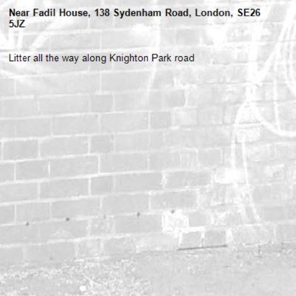 Litter all the way along Knighton Park road-Fadil House, 138 Sydenham Road, London, SE26 5JZ