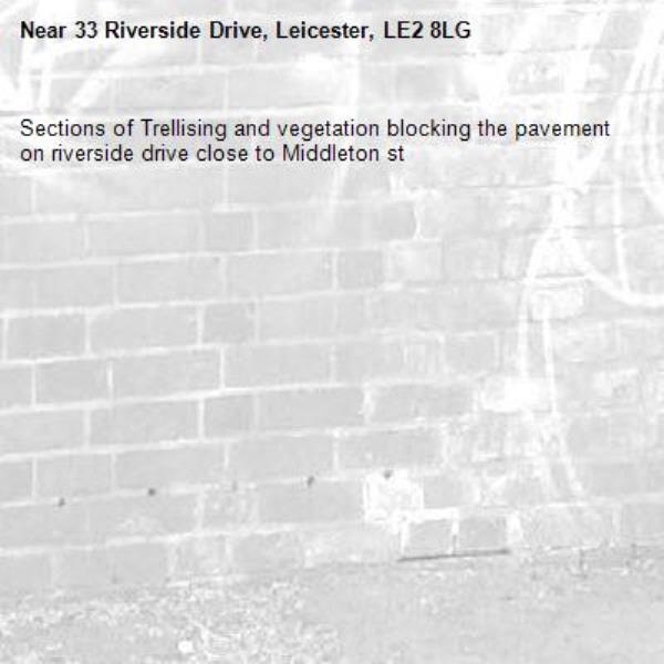 Sections of Trellising and vegetation blocking the pavement on riverside drive close to Middleton st-33 Riverside Drive, Leicester, LE2 8LG