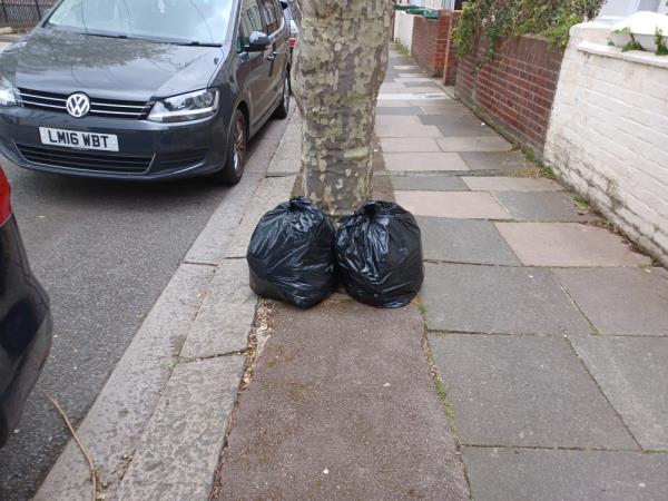 Bags of garden waste fly tipped outside 25 Ravenhill Road, E13. -23 Ravenhill Road, Upton Park, London, E13 9BU