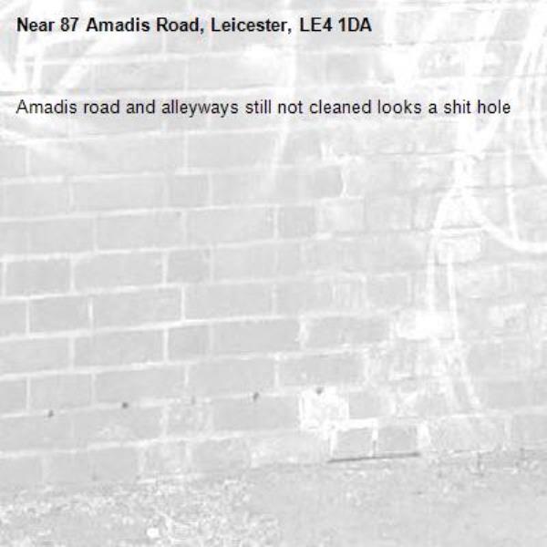 Amadis road and alleyways still not cleaned looks a shit hole -87 Amadis Road, Leicester, LE4 1DA
