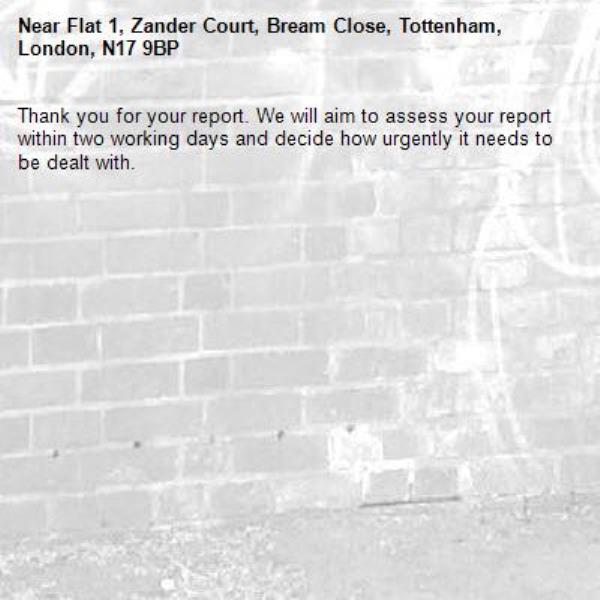 Thank you for your report. We will aim to assess your report within two working days and decide how urgently it needs to be dealt with.-Flat 1, Zander Court, Bream Close, Tottenham, London, N17 9BP