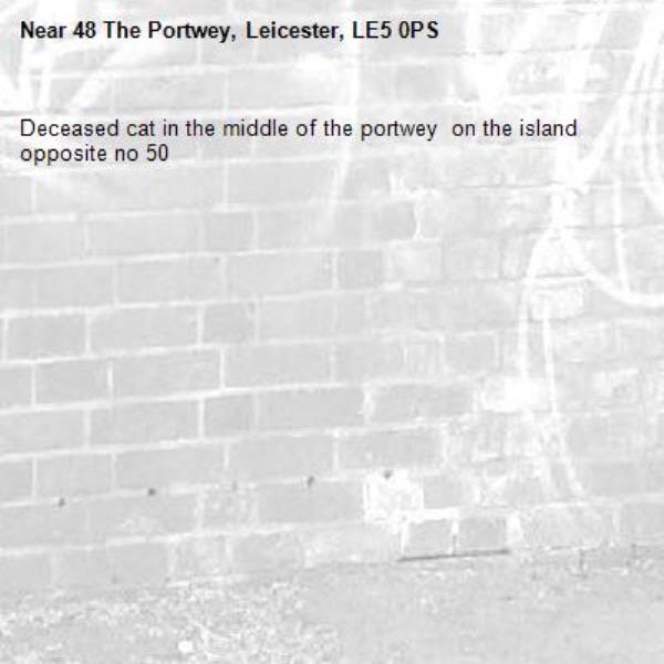 Deceased cat in the middle of the portwey  on the island  opposite no 50   -48 The Portwey, Leicester, LE5 0PS