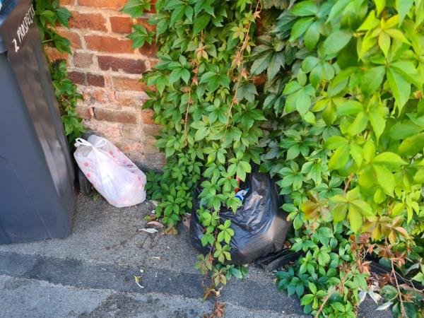 Fly tipped bin bags-205 Oxford Road, Reading, RG1 7PX
