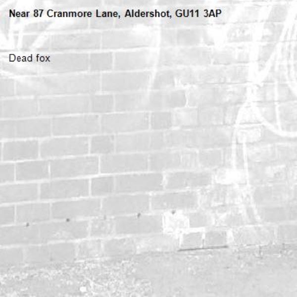Dead fox-87 Cranmore Lane, Aldershot, GU11 3AP