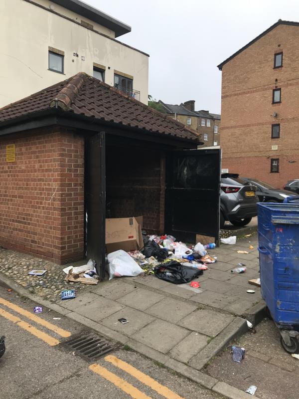 Weekly issue with over spilling of bins due to the fact the bins are not locked. It is a health and safety concern as it attracts pests. -59 Baildon Street, London, SE8 4BQ