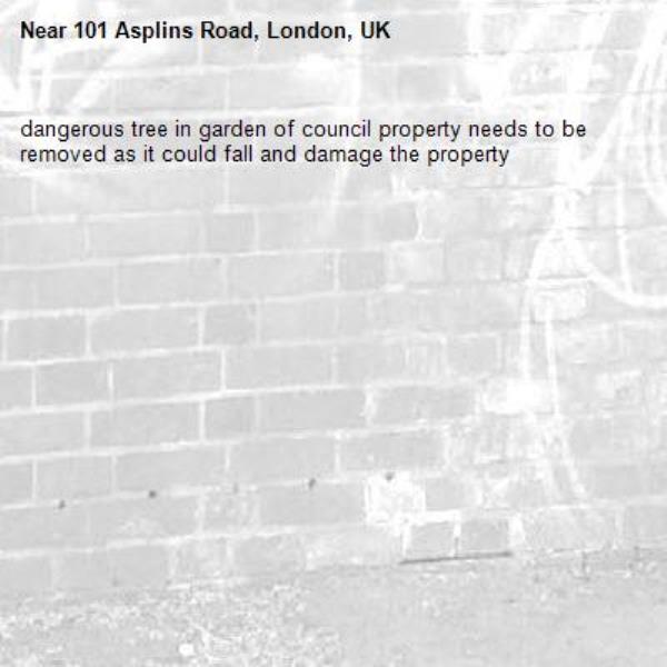 dangerous tree in garden of council property needs to be removed as it could fall and damage the property-101 Asplins Road, London, UK