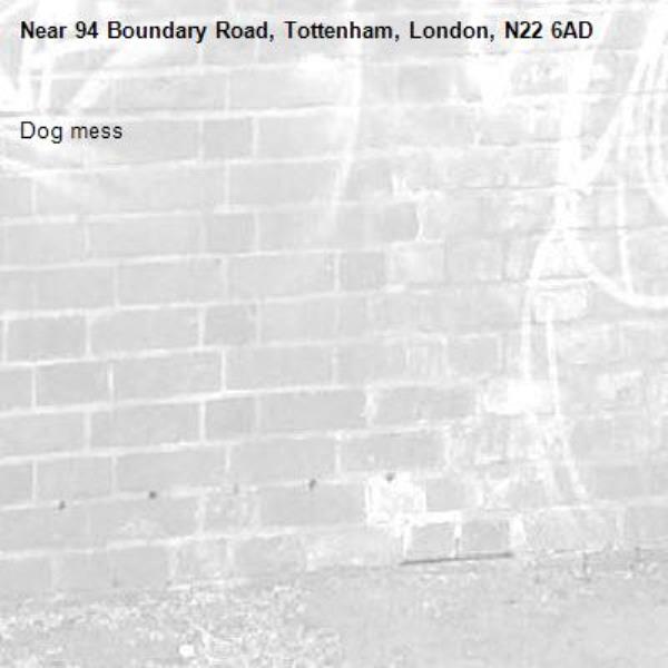 Dog mess-94 Boundary Road, Tottenham, London, N22 6AD