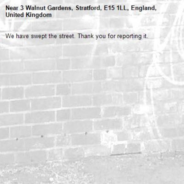 We have swept the street. Thank you for reporting it.-3 Walnut Gardens, Stratford, E15 1LL, England, United Kingdom