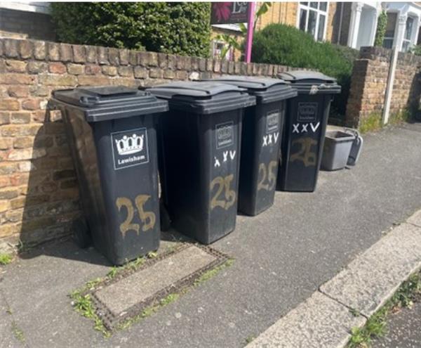 Bins are never removed after bin collection day, food bin is  awful and will be worse when the weather gets warmer. -25A, Slaithwaite Road, Hither Green, London, SE13 6DJ