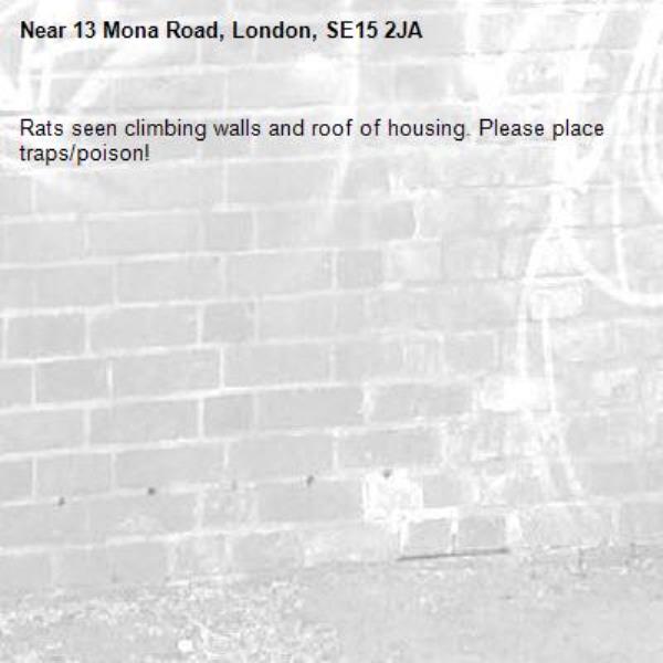 Rats seen climbing walls and roof of housing. Please place traps/poison!-13 Mona Road, London, SE15 2JA