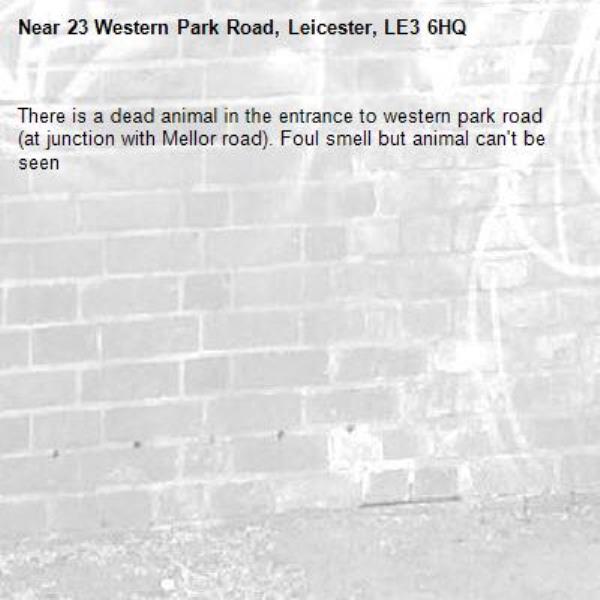 There is a dead animal in the entrance to western park road (at junction with Mellor road). Foul smell but animal can't be seen-23 Western Park Road, Leicester, LE3 6HQ