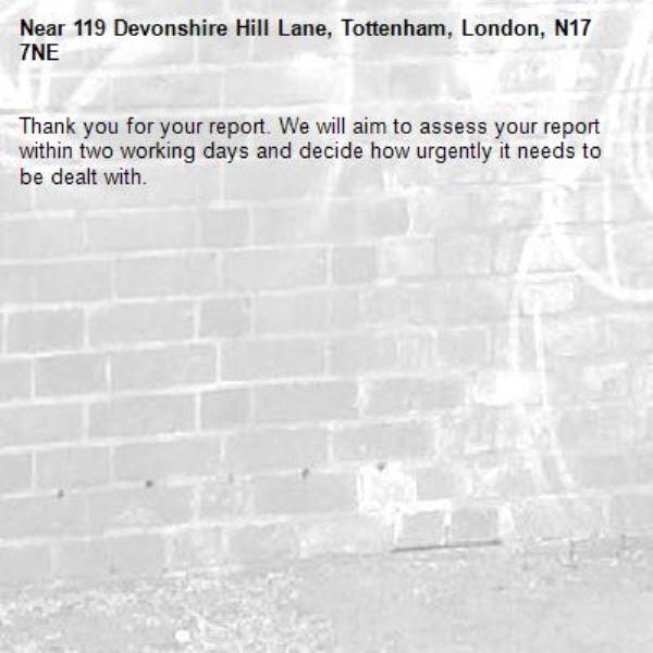 Thank you for your report. We will aim to assess your report within two working days and decide how urgently it needs to be dealt with.-119 Devonshire Hill Lane, Tottenham, London, N17 7NE