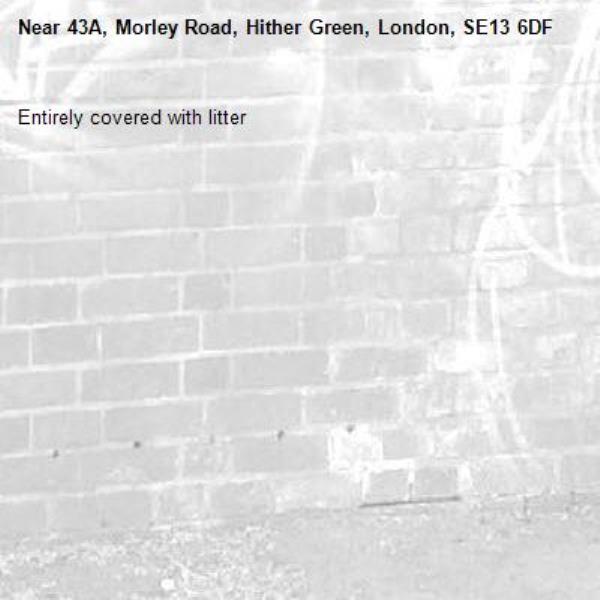 Entirely covered with litter-43A, Morley Road, Hither Green, London, SE13 6DF