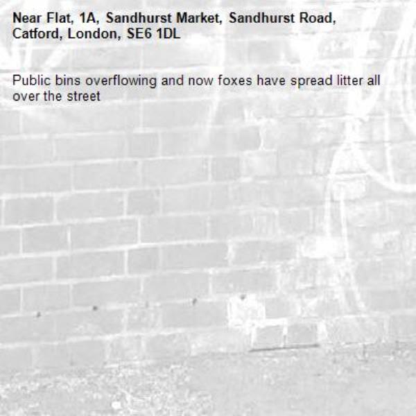 Public bins overflowing and now foxes have spread litter all over the street -Flat, 1A, Sandhurst Market, Sandhurst Road, Catford, London, SE6 1DL