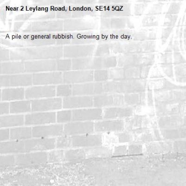 A pile or general rubbish. Growing by the day. -2 Leylang Road, London, SE14 5QZ