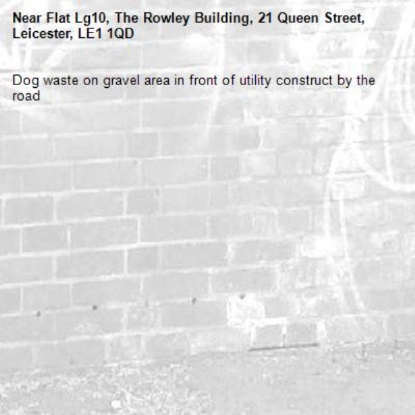 Dog waste on gravel area in front of utility construct by the road-Flat Lg10, The Rowley Building, 21 Queen Street, Leicester, LE1 1QD