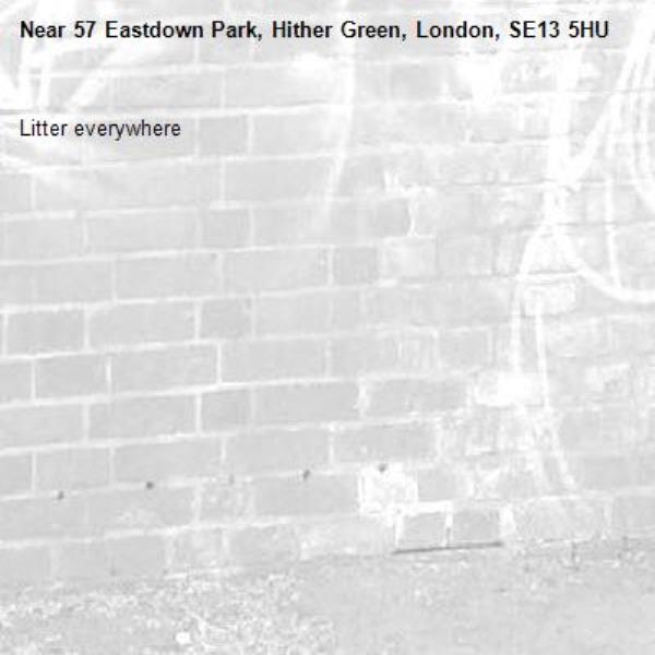 Litter everywhere-57 Eastdown Park, Hither Green, London, SE13 5HU
