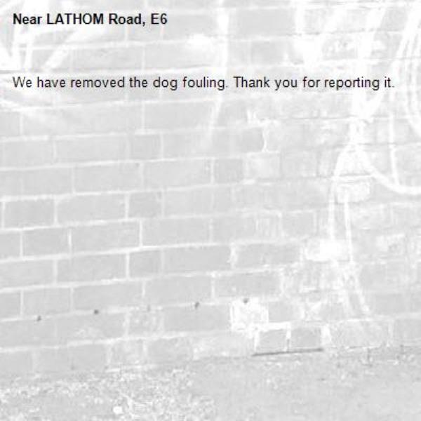 We have removed the dog fouling. Thank you for reporting it.-LATHOM Road, E6