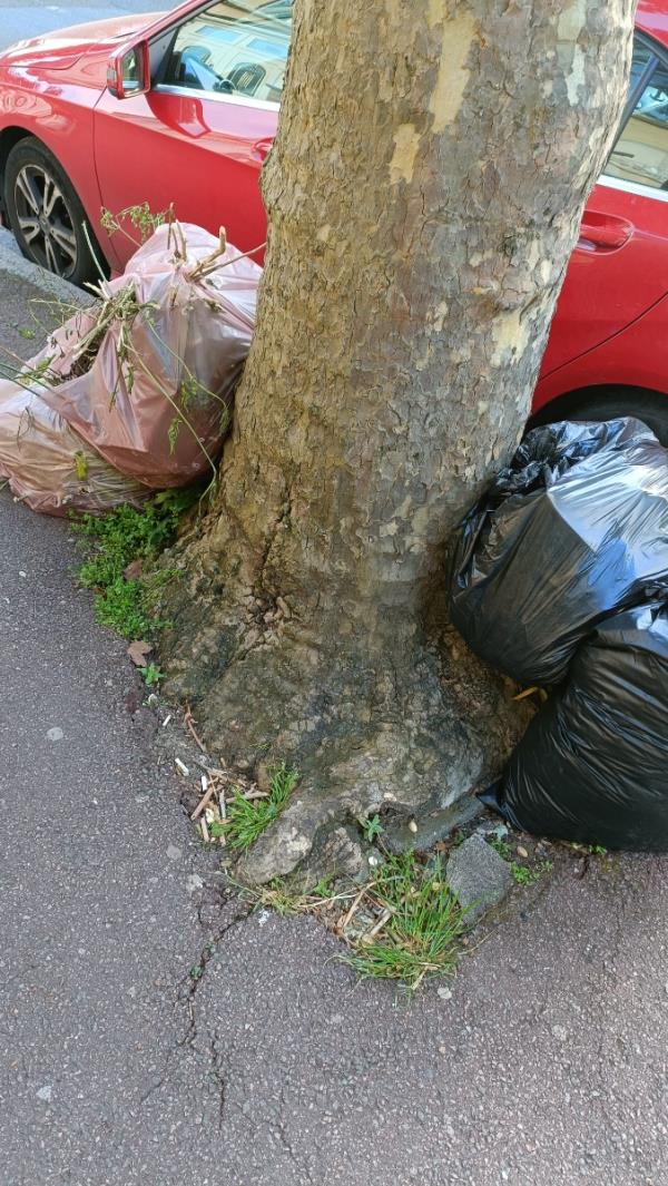 Bags dumped around tree-105 Essex Road, Manor Park, London, E12 6QR