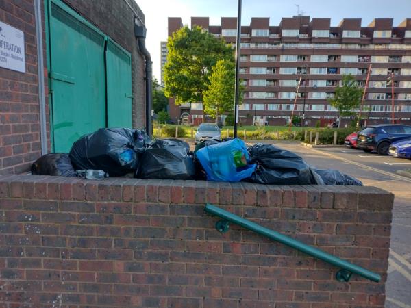 Bins outside Eddystone are dangerously full & overflowing. Massive health & safety, fire issue. Needs collecting as soon as possible.-Eddystone Tower Oxestalls Road, London, SE8 3QU