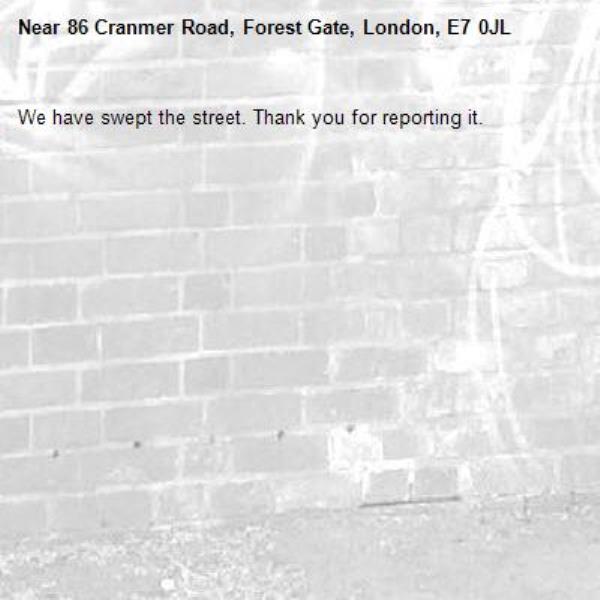We have swept the street. Thank you for reporting it.-86 Cranmer Road, Forest Gate, London, E7 0JL