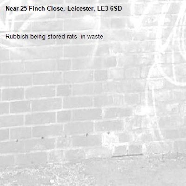 Rubbish being stored rats  in waste -25 Finch Close, Leicester, LE3 6SD