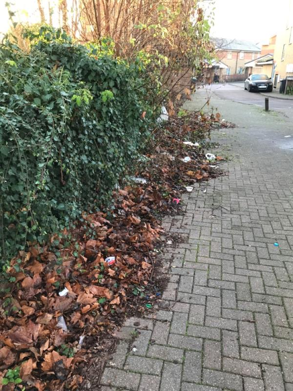 Piles of mixed leaves and litter on path by 20 Stainby Road -25 SALTRAM, Seven Sisters, N15 4DY