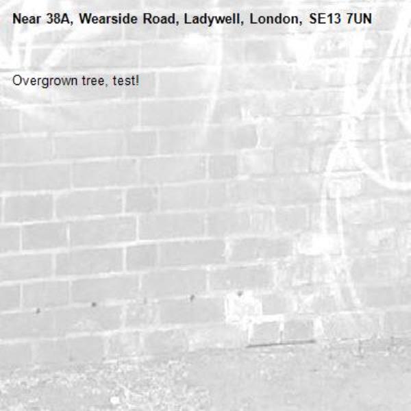 Overgrown tree, test!-38A, Wearside Road, Ladywell, London, SE13 7UN