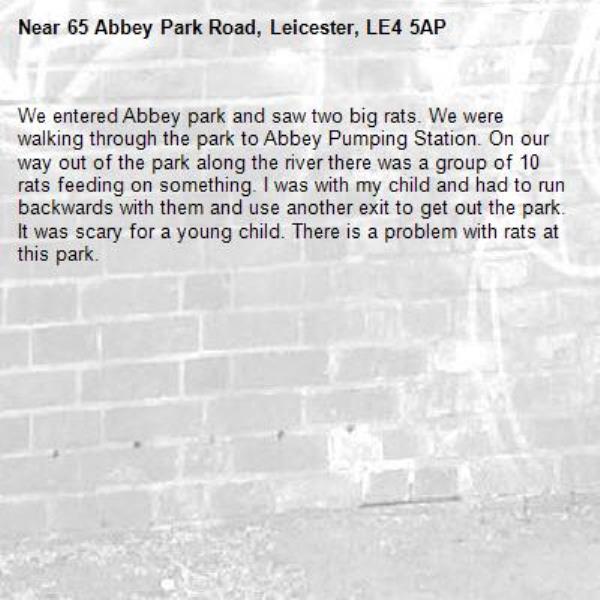 We entered Abbey park and saw two big rats. We were walking through the park to Abbey Pumping Station. On our way out of the park along the river there was a group of 10 rats feeding on something. I was with my child and had to run backwards with them and use another exit to get out the park. It was scary for a young child. There is a problem with rats at this park.-65 Abbey Park Road, Leicester, LE4 5AP