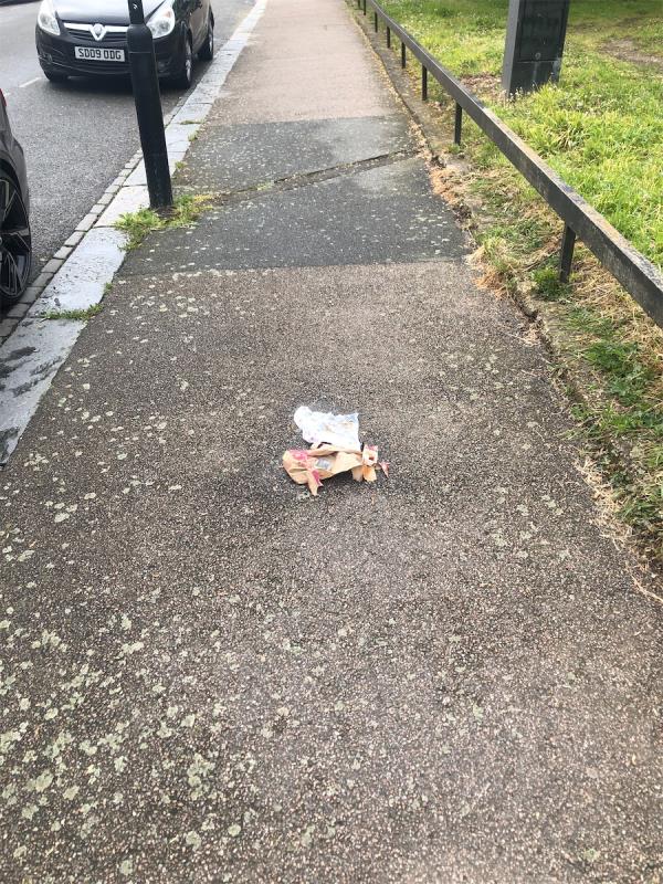 Discarded fast food packaging on pavement across from 127 and also rubbish outside 125 -127 Chandos Road, Stratford, London, E15 1TU