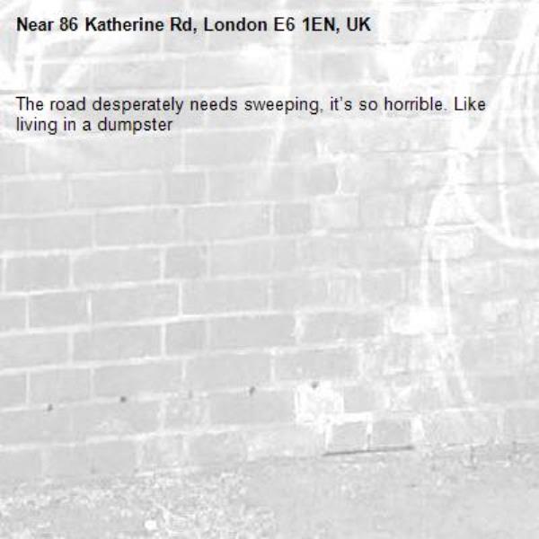 The road desperately needs sweeping, it’s so horrible. Like living in a dumpster -86 Katherine Rd, London E6 1EN, UK