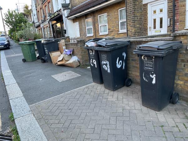 Overflowing bins and left rubbish on pavement. -50B, Ennersdale Road, Hither Green, London, SE13 6JB