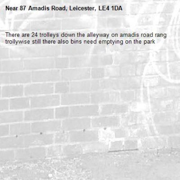 There are 24 trolleys down the alleyway on amadis road rang trollywise still there also bins need emptying on the park-87 Amadis Road, Leicester, LE4 1DA