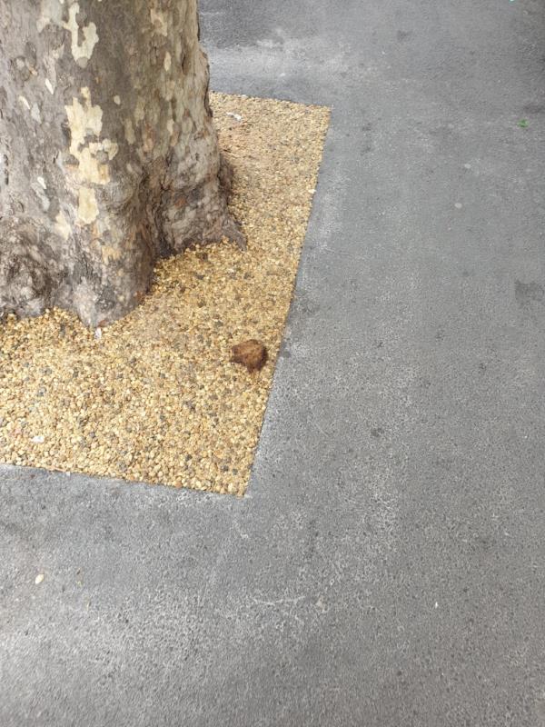 Dog fouling by tree at corner of Lathom Road and kepple rd please investigate and clean thanks -18 Lathom Road, East Ham, E6 2DX