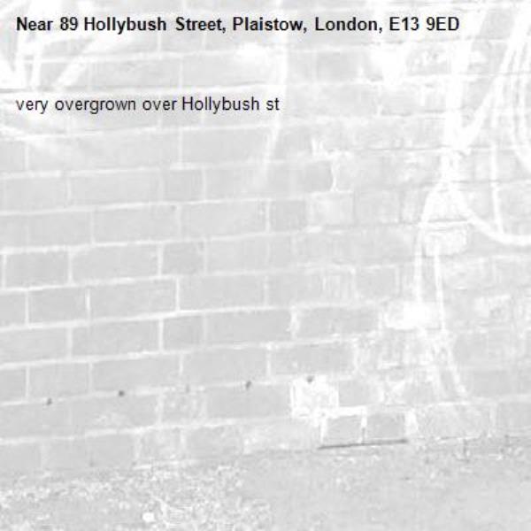 very overgrown over Hollybush st -89 Hollybush Street, Plaistow, London, E13 9ED